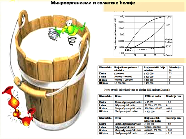 VioletaPetrovi-Lukovi4.png